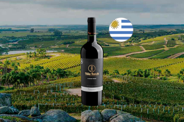 Pizzorno Villa Ranch Cabernet Franc - Thumbnail
