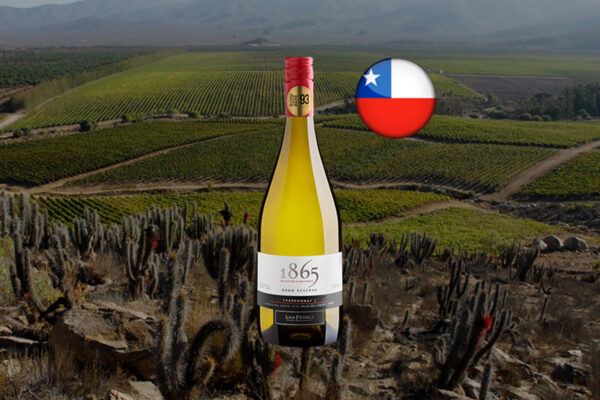 Viña San Pedro 1865 Selected Vineyards Chardonnay - Thumbnail