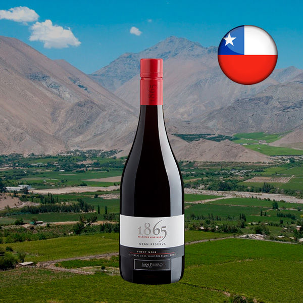 San Pedro 1865 Selected Vineyards Pinot Noir El Terral Valle del Elqui DO - Oferta