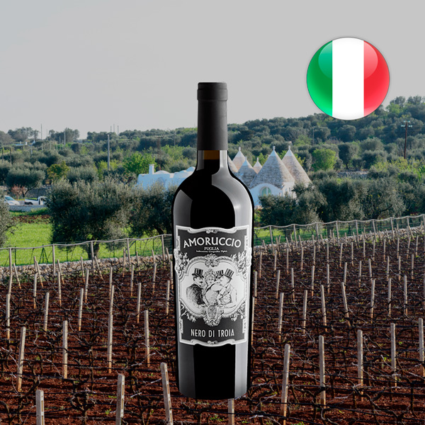 Amoruccio Nero di Troia Puglia IGT 2023 - Oferta