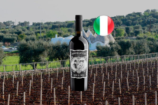 Amoruccio Nero di Troia Puglia IGT 2023 - Thumbnail