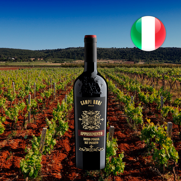 Campi Rudi Appassimento Rosso Passito Puglia IGT 2024 - Oferta
