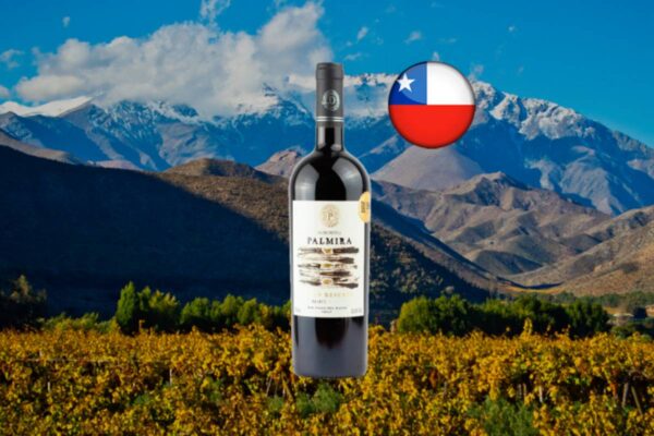 Casa Donoso Palmira Gran Reserva Malbec 2024 - Thumbnail