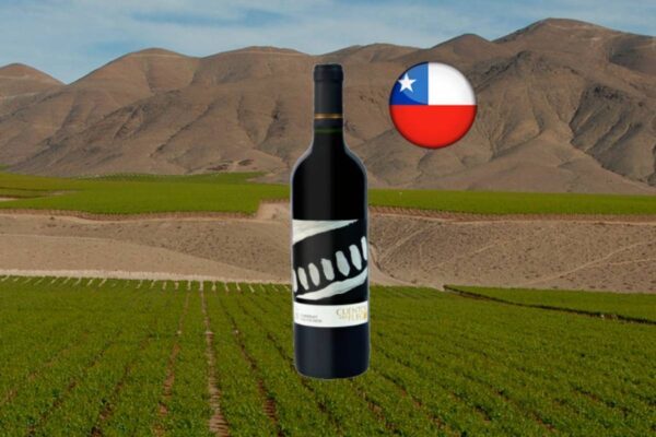 Cuentos del Fuego Cabernet Sauvignon 2022 - Thumbnail