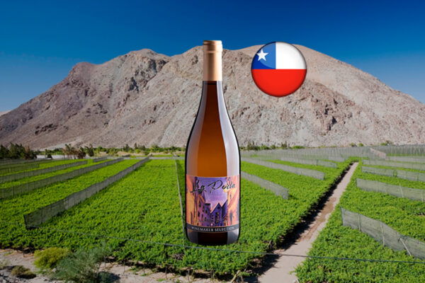 La Perla Winemaker Selection Chardonnay - Thumbnail