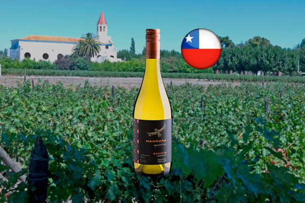Mancura Guardian Reserva Chardonnay 2020 - Thumbnail