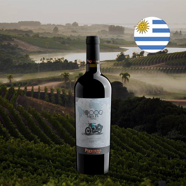 Pizzorno 10.000 Miles Reserva Cabernet Sauvignon 2024 - Oferta