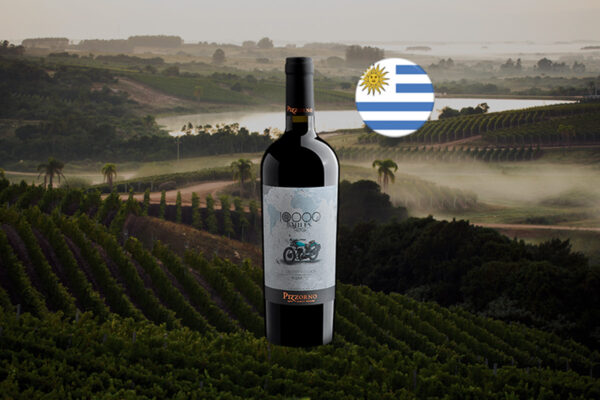 Pizzorno 10.000 Miles Reserva Cabernet Sauvignon 2024 - Thumbnail