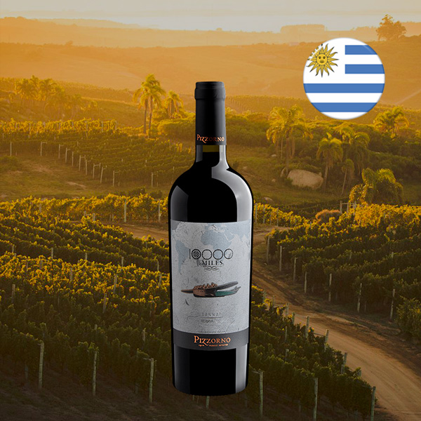 Pizzorno 10.000 Miles Tannat 2024 - Oferta