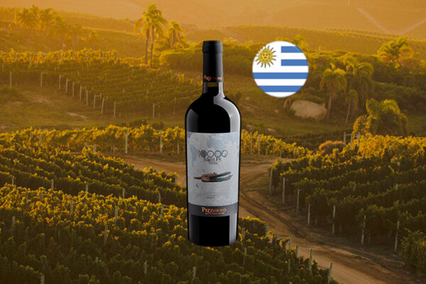 Pizzorno 10.000 Miles Tannat 2024 - Thumbnail