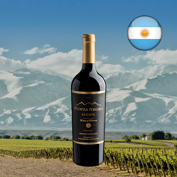 Punta Negra Reserva Malbec Single Vineyard 2024 - Oferta