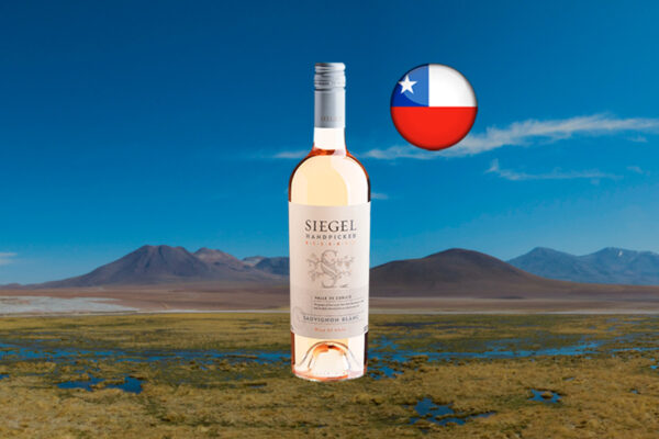 Siegel Reserva Handpicked Sauvignon Blanc 2023 - Thumbnail