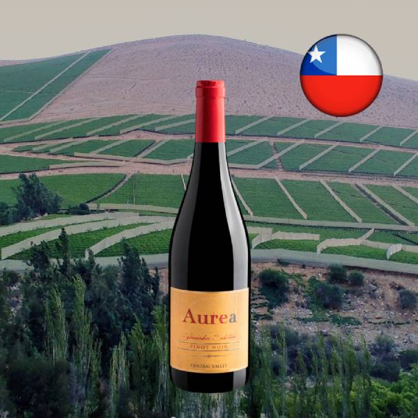 Aurea Winemaker Selection Pinot Noir - Oferta