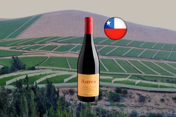 Aurea Winemaker Selection Pinot Noir - Thumbnail