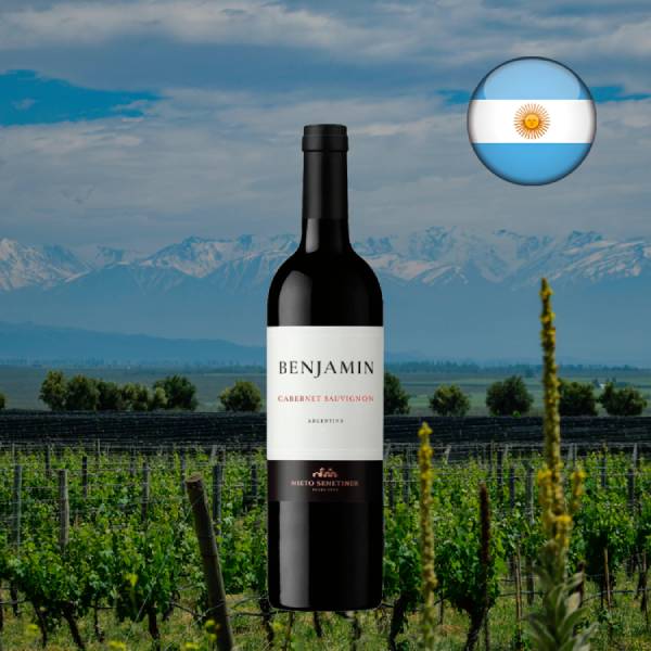 Benjamin Nieto Senetiner Cabernet Sauvignon 2024 - Oferta
