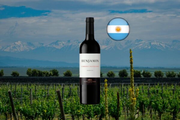 Benjamin Nieto Senetiner Cabernet Sauvignon 2024 - Thumbnail