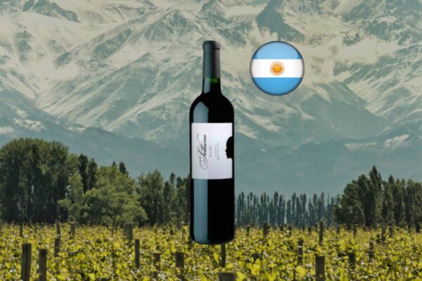 Bodega Sottano Malbec 2021 - Thumbnail