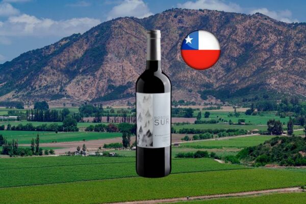 Bosque Sur Winemaker Selection Carménère - Thumbnail