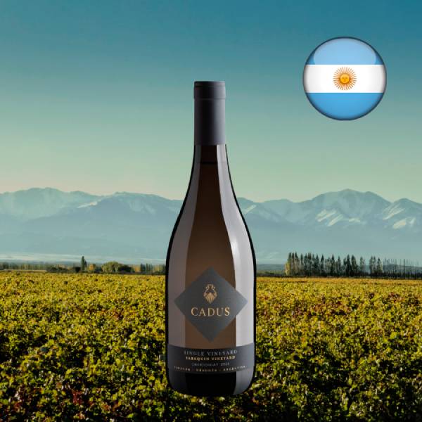 Cadus Single Vineyard Chardonnay Sabaquin 2023 - Oferta