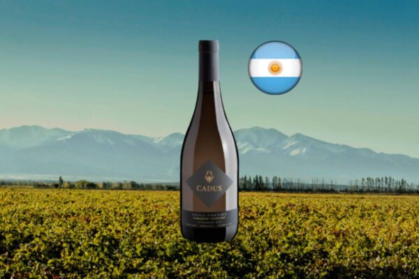 Cadus Single Vineyard Chardonnay Sabaquin 2023 - Thumbnail