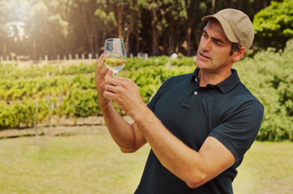 Crios Susana Balbo Torrontés 2019 - Degustando