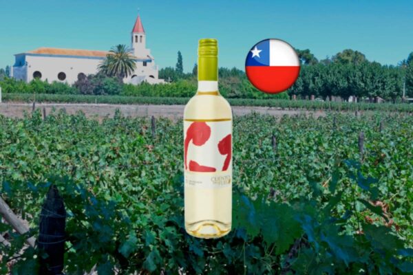 Cuentos del Fuego Sauvignon Blanc 2023 - Thumbnail