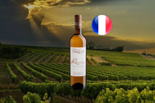 Domaine Tariquet Réserve Côtes de Gascogne IGP 2022 - Thumbnail