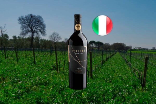 Elettra (Shining Star) Primitivo Puglia IGT 2022 - Thumbnail