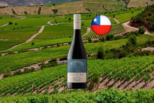 Emiliana Adobe Reserva Pinot Noir Orgânico 2023 - Thumbnail
