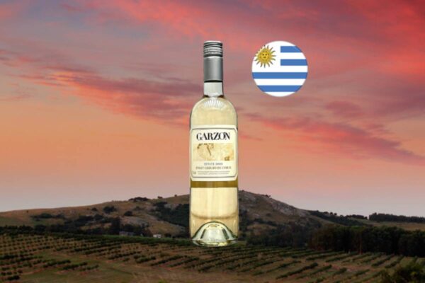 Garzón Estate Pinot Grigio de Corte 2022 - Thumbnail