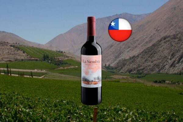 La Siembra Winemaker Selection Syrah - Thumbnail