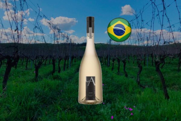 Luiz Argenta Pinot Blanc 2023 - Thumbnail