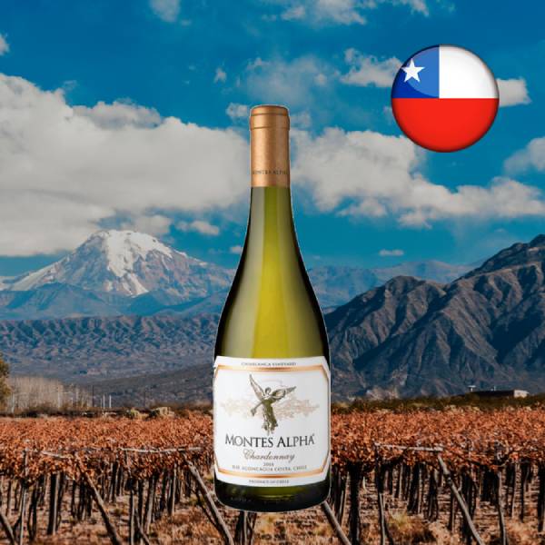 Montes Alpha Chardonnay 2021 - Oferta