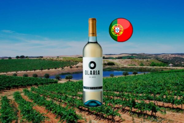 Olaria Suave Branco 2017 - Thumbnail