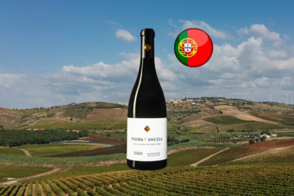 Pedra Cancela Seleção do Enólogo Dão DOC Tinto 2020 - Thumbnail