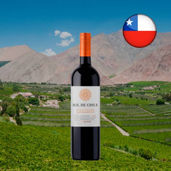 Sol de Chile Varietal Carmenere 2022 - Oferta