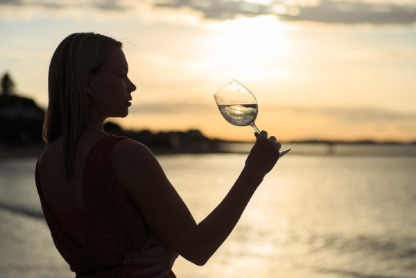 Susana Balbo Críos Torrontés 2022 - Degustando