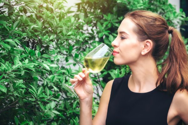 Tarapacá Cosecha Sauvignon Blanc 2024 - Degustando