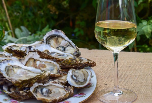 Tarapacá Cosecha Sauvignon Blanc 2024 - Harmonização