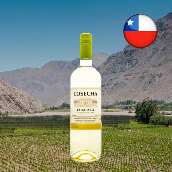 Tarapacá Cosecha Sauvignon Blanc 2024 - Oferta