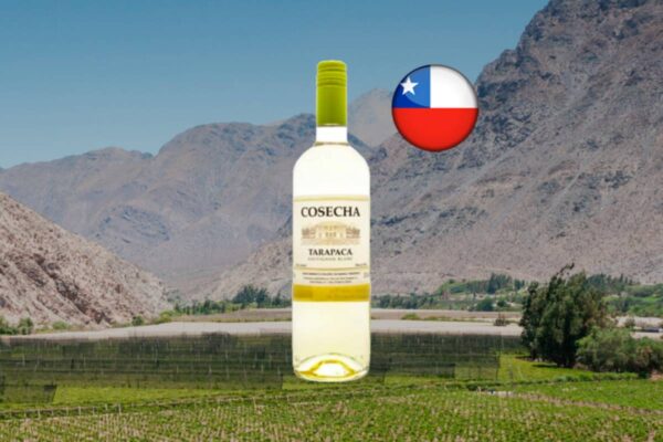 Tarapacá Cosecha Sauvignon Blanc 2024 - Thumbnail