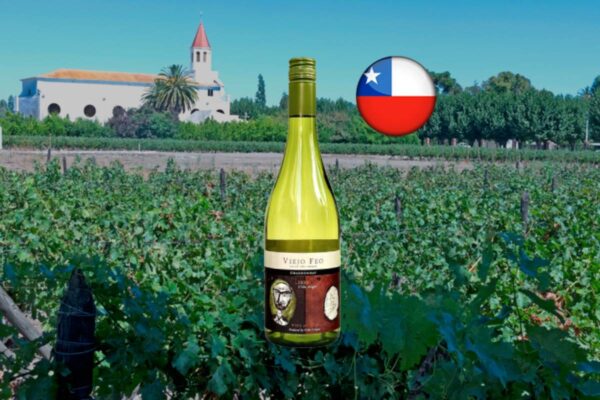 Viejo Feo Reserva Chardonnay 2024 - Thumbnail