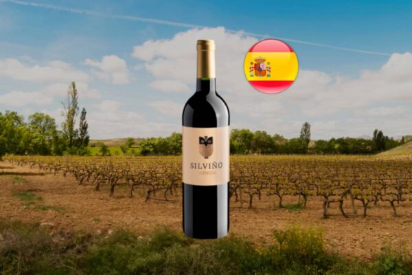 ViniGalicia Silviño Mencía - Thumbnail