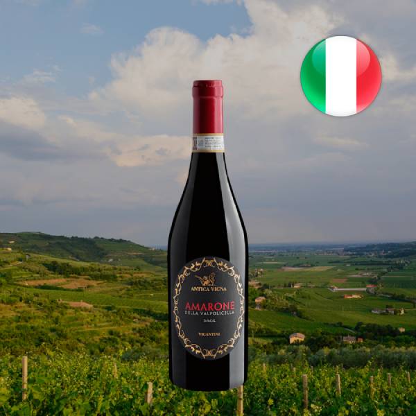 Antica Vigna Amarone della Valpolicella DOCG 2022 - Oferta
