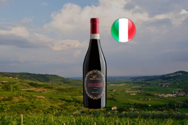 Antica Vigna Amarone della Valpolicella DOCG 2022 - Thumbnail
