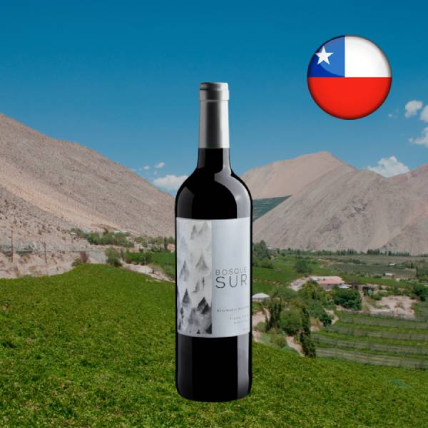 Bosque Sur Winemaker Selection Vinho Tinto - Oferta