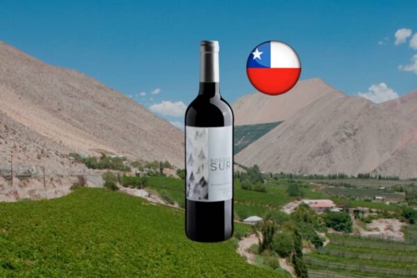 Bosque Sur Winemaker Selection Vinho Tinto - Thumbnail