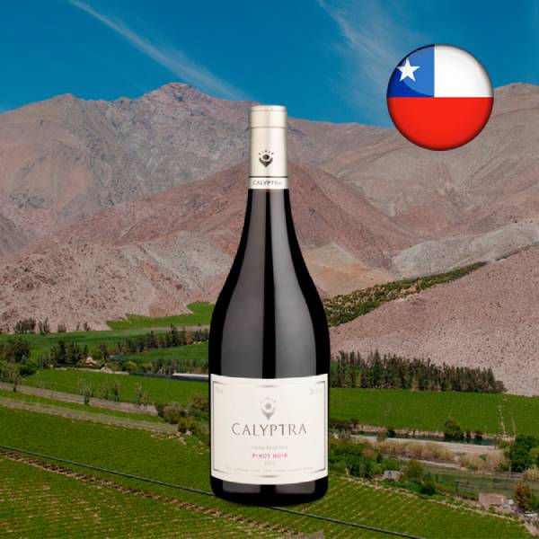 Calyptra Gran Reserva DO Cachapoal Valley Pinot Noir 2022 - Oferta