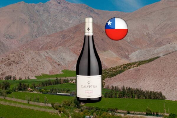 Calyptra Gran Reserva DO Cachapoal Valley Pinot Noir 2022 - Thumbnail