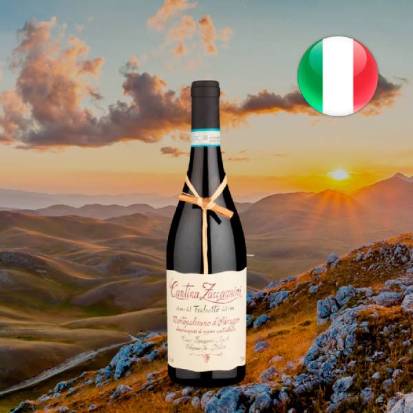 Cantina Zaccagnini Tralcetto Montepulciano d'Abruzzo DOC 2022 - Oferta